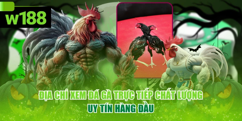 Địa Chỉ Xem Đá Gà Trực Tiếp Chất Lượng, Uy Tín Hàng Đầu