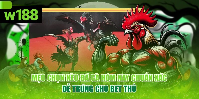 Mẹo Chọn Kèo Đá Gà Hôm Nay Chuẩn Xác, Dễ Trúng Cho Bet Thủ