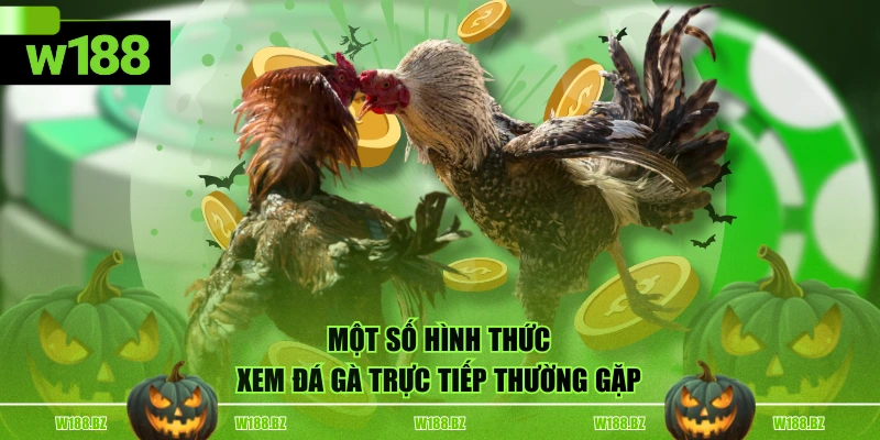 Địa Chỉ Xem Đá Gà Trực Tiếp Chất Lượng, Uy Tín Hàng Đầu 3 Một số hình thức xem đá gà trực tiếp thường gặp