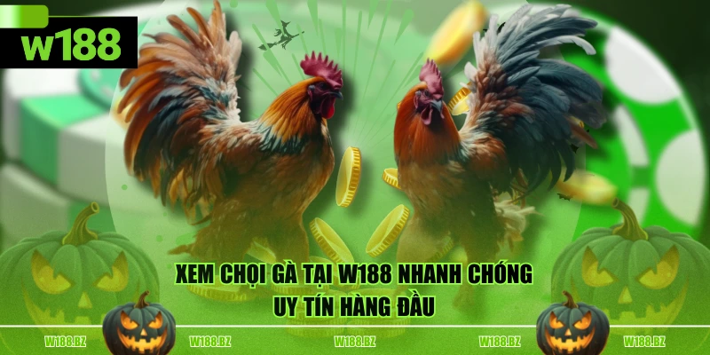 Địa Chỉ Xem Đá Gà Trực Tiếp Chất Lượng, Uy Tín Hàng Đầu 4 Xem chọi gà tại W188 nhanh chóng, uy tín hàng đầu